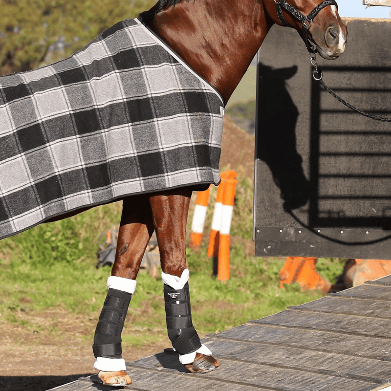 Brown horse in black and grey checkered coat wearing black fleece travel boots