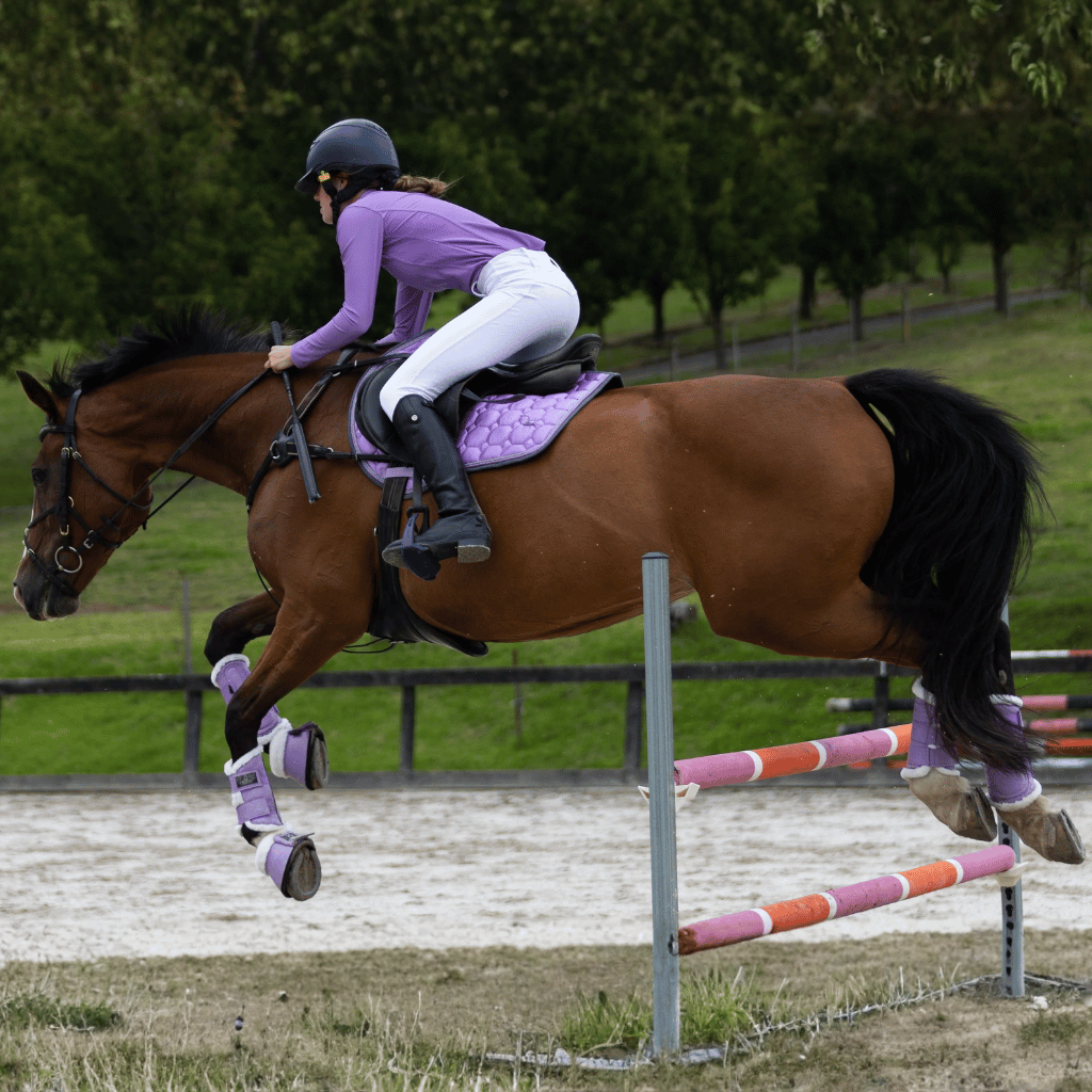 All Jump Saddle Pads