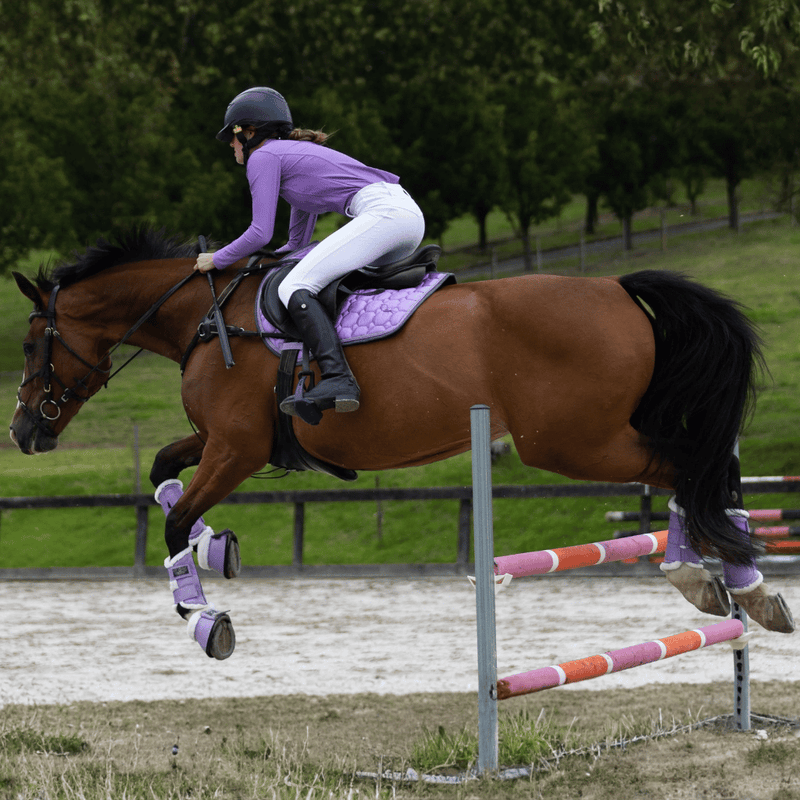 All Jump Saddle Pads
