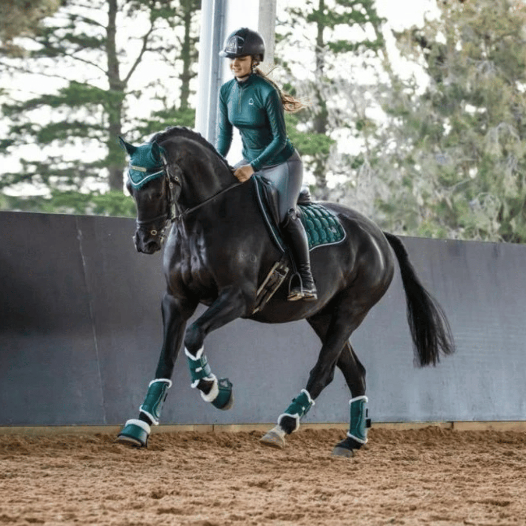 All Horse Accessories