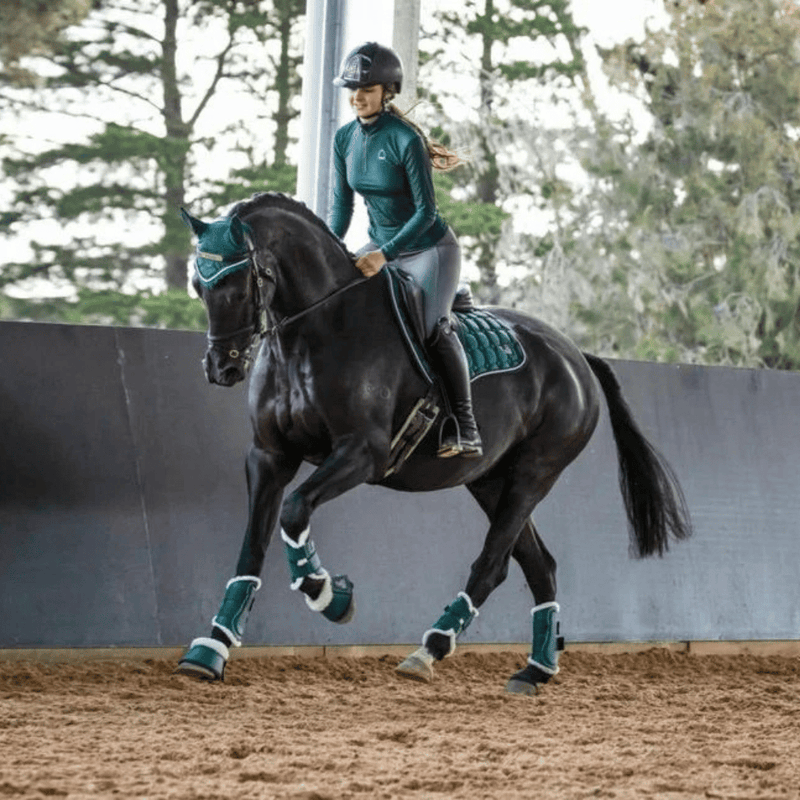 All Horse Accessories