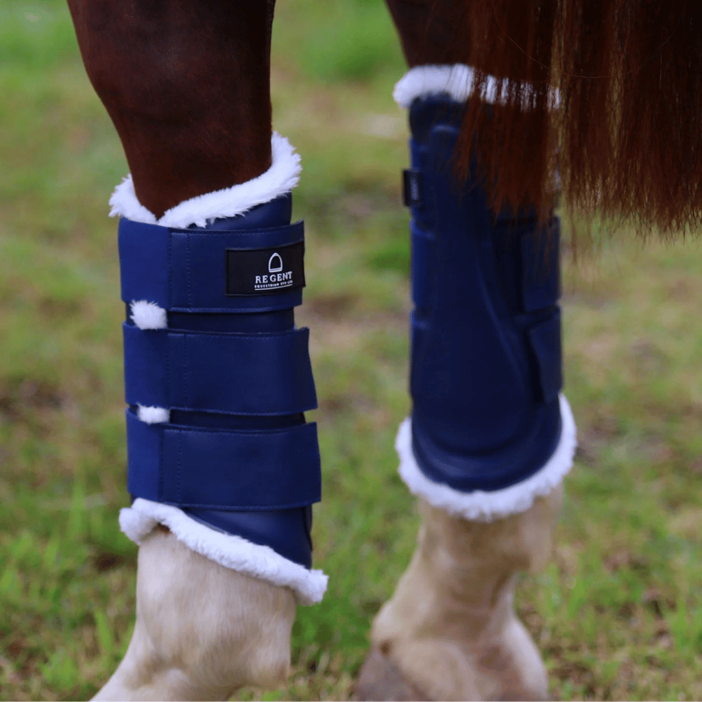 Rear horses legs wearing navy tendon boots from Regent Equestrian