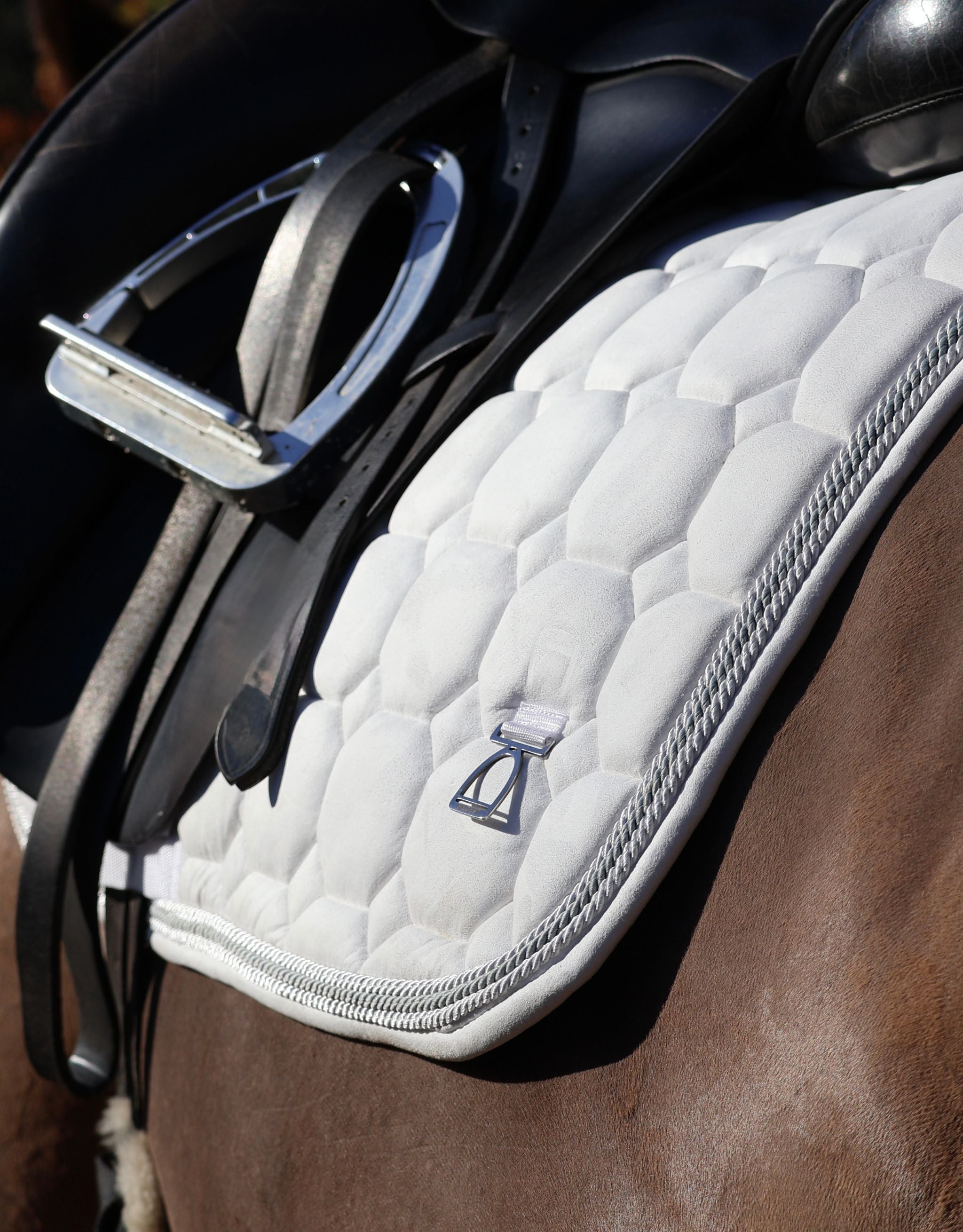 Chestnut horse standing in the ring wearing black accessories from the Classic collection at Regent Equestrian