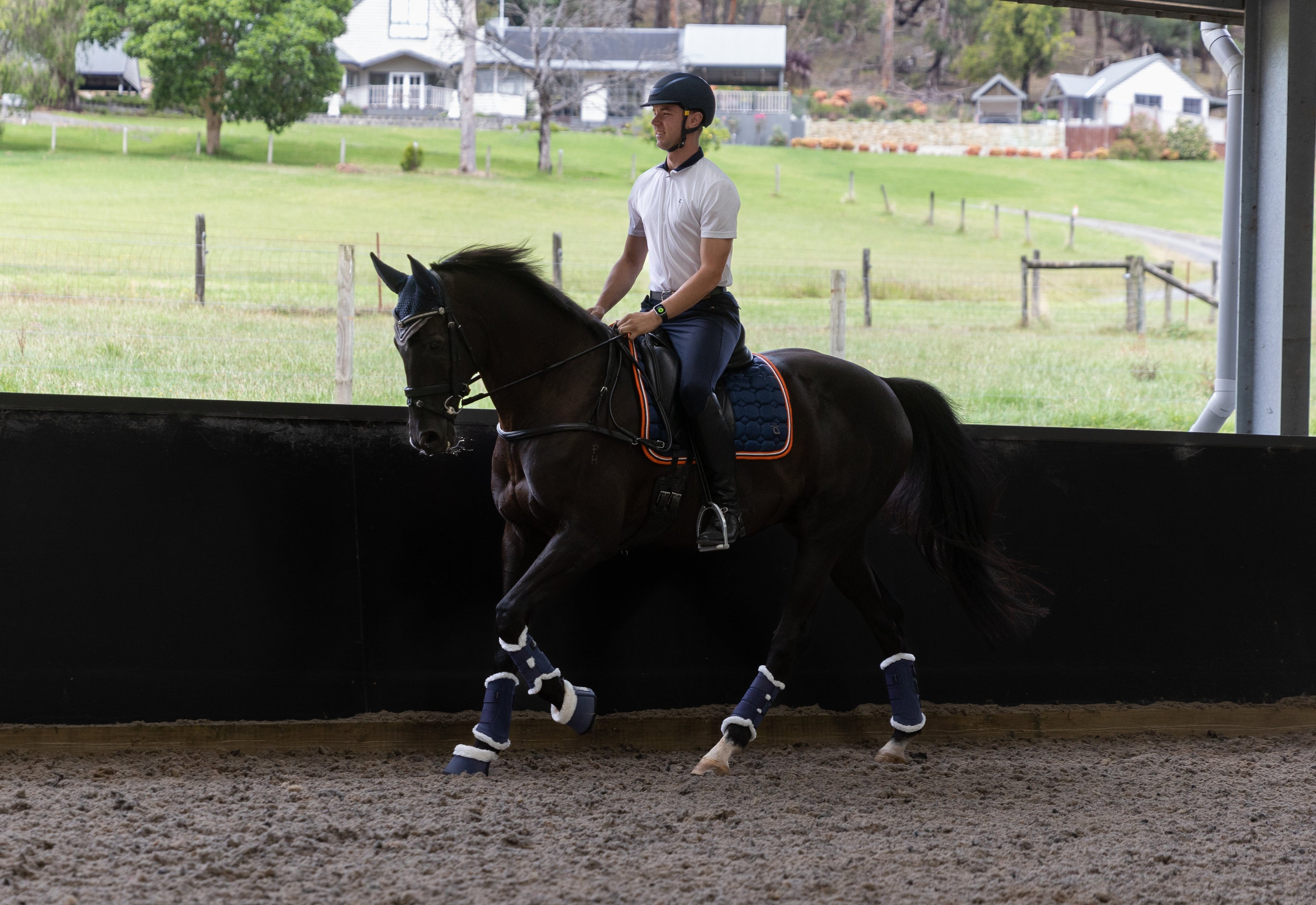 All Dressage Saddle Pads