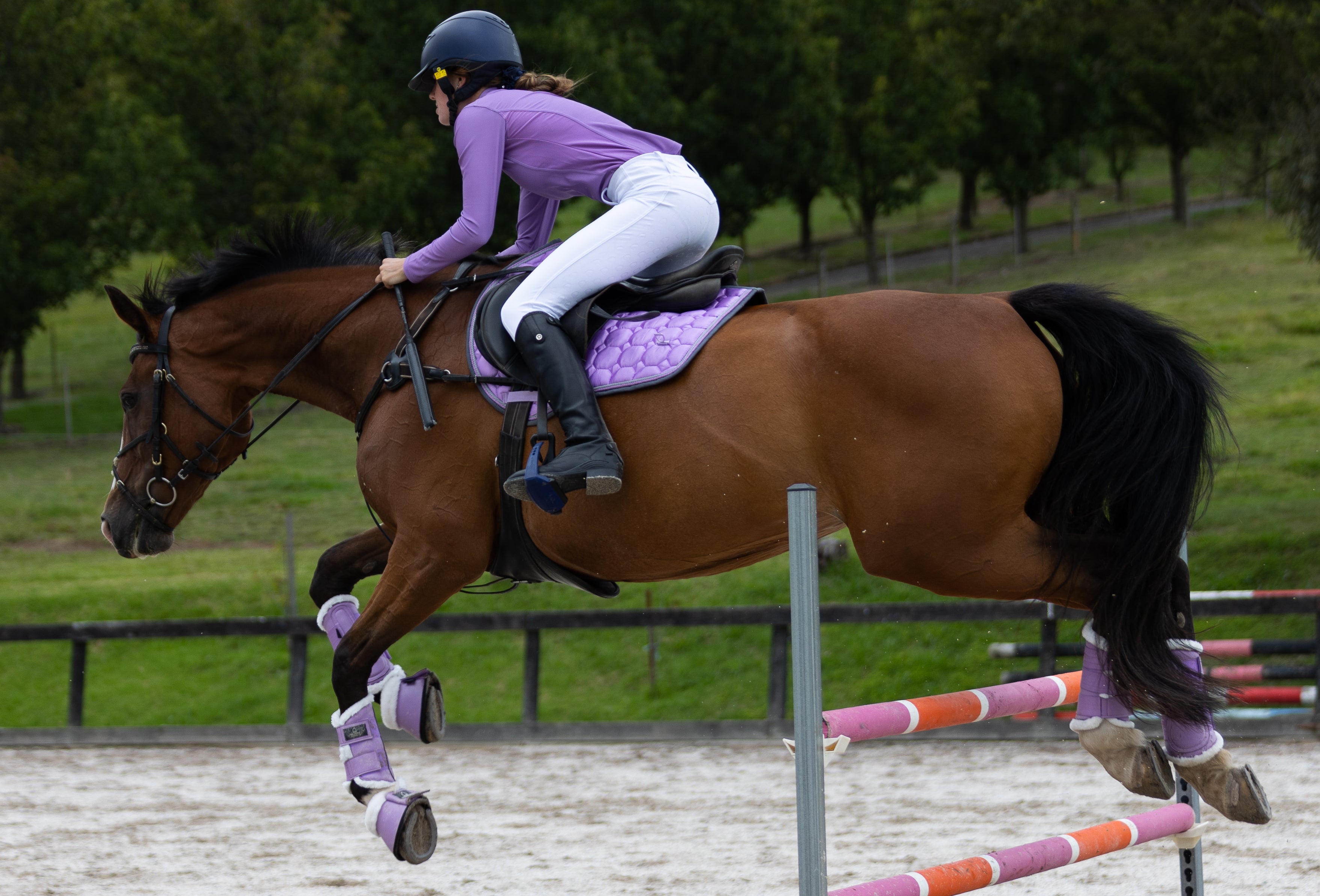 The Ultimate Jump Set - Lilac