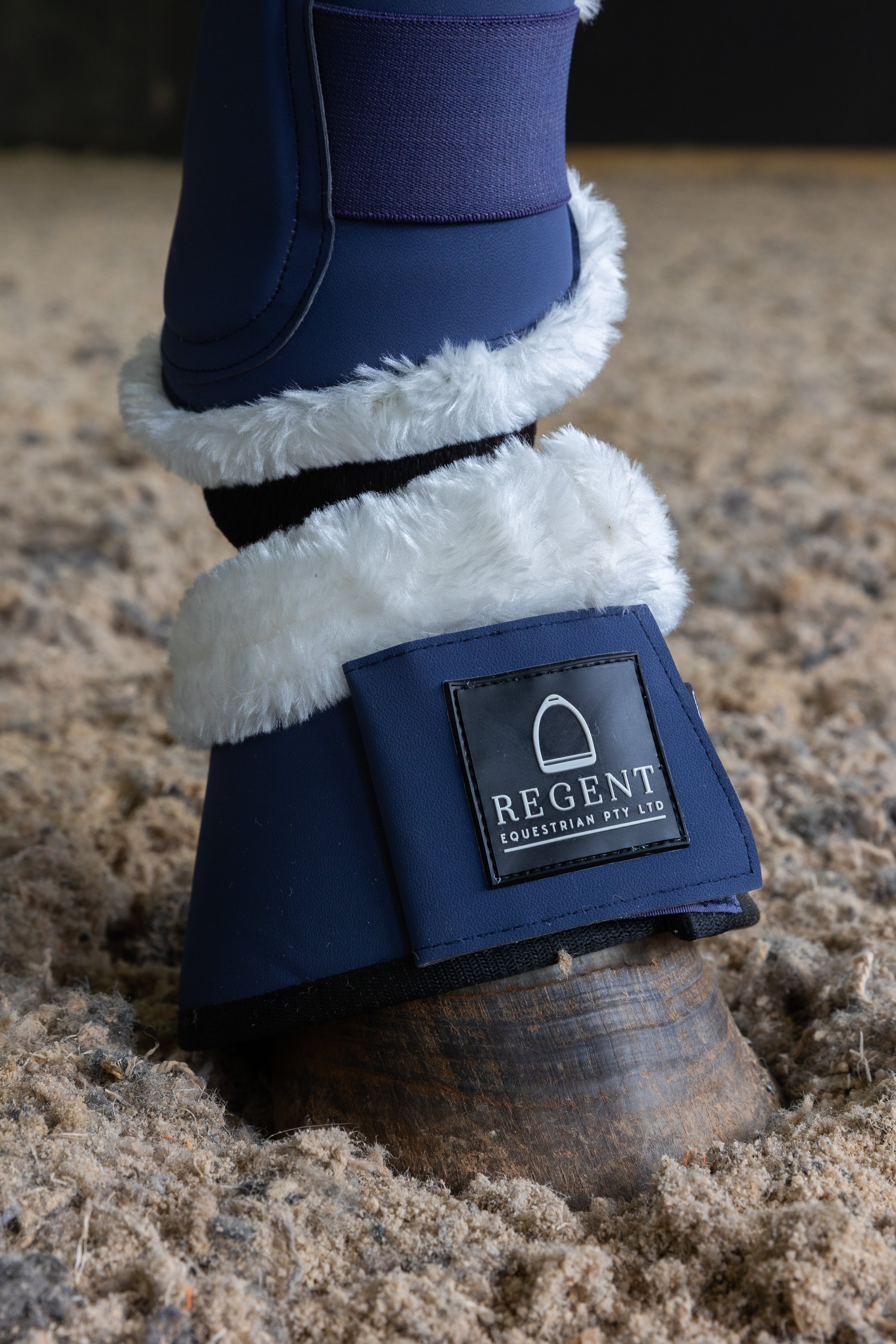 The Ultimate Dressage Set - Navy