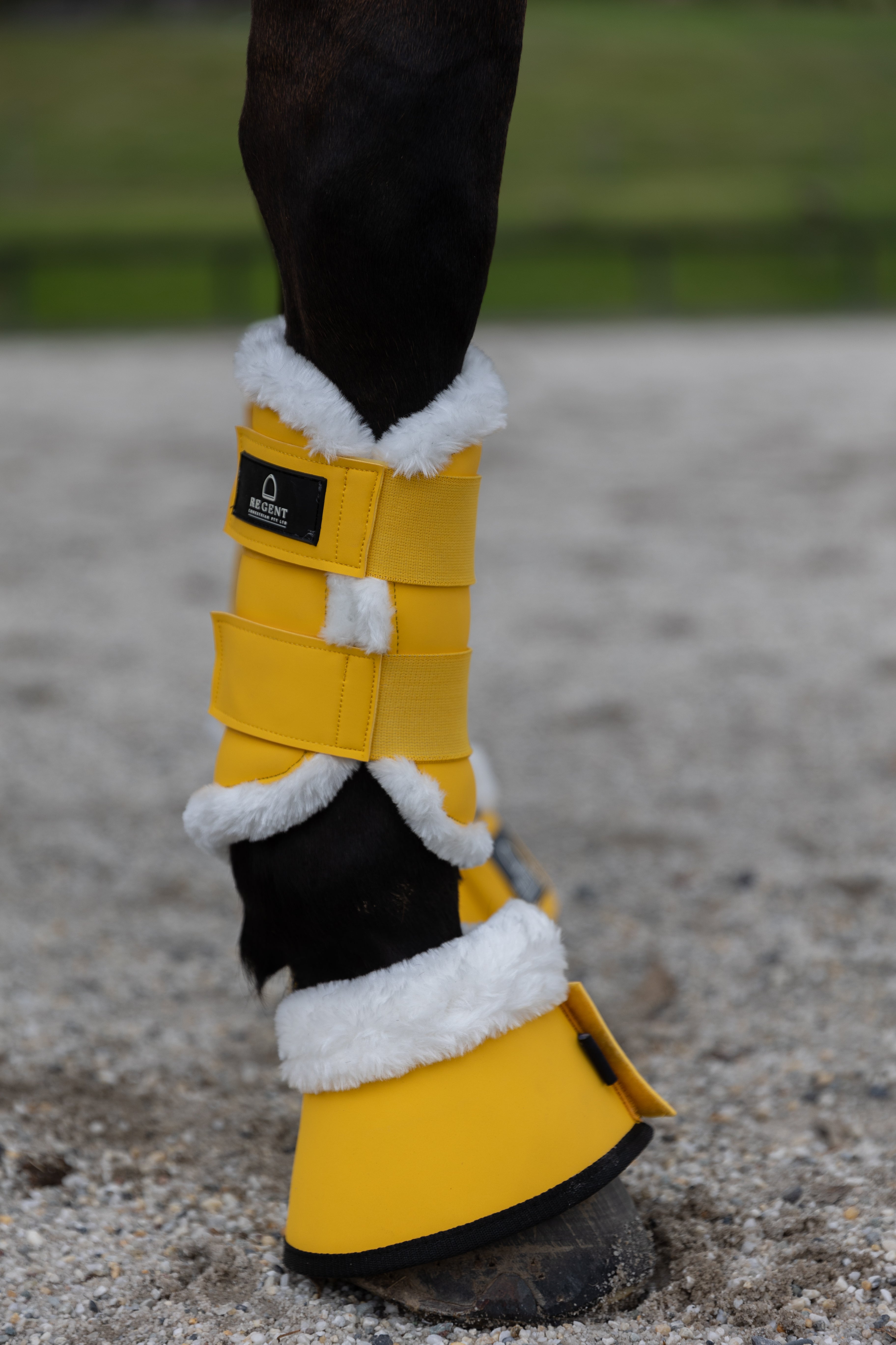 The Ultimate Dressage Set - Yellow