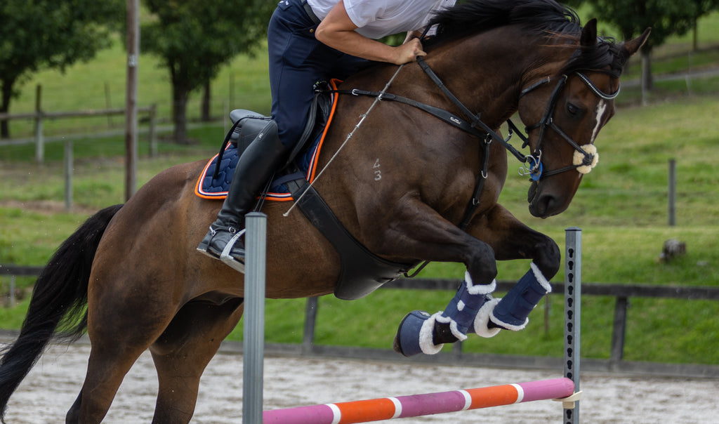 The Ultimate Jump Set - Navy