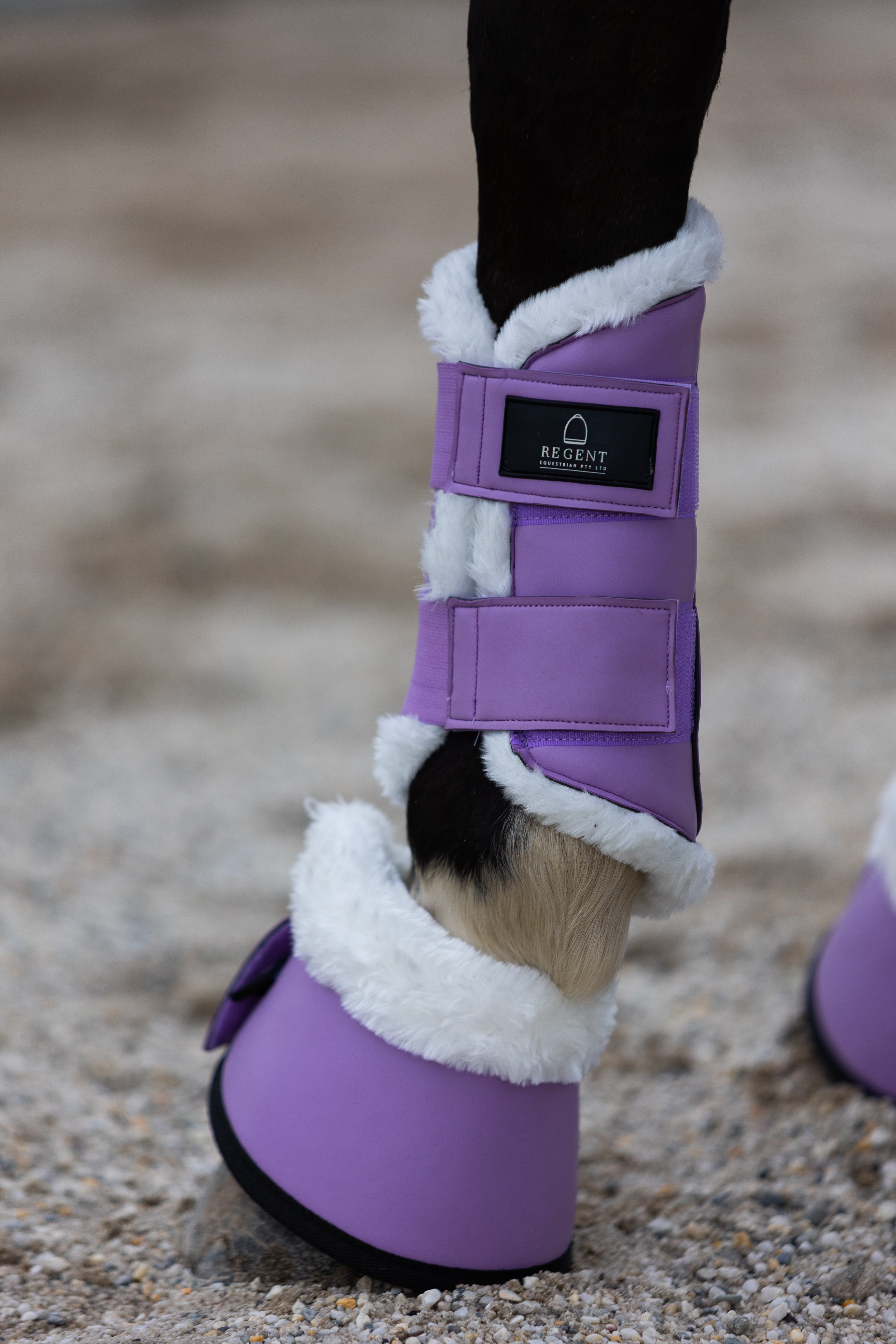 The Ultimate Dressage Set - Lilac