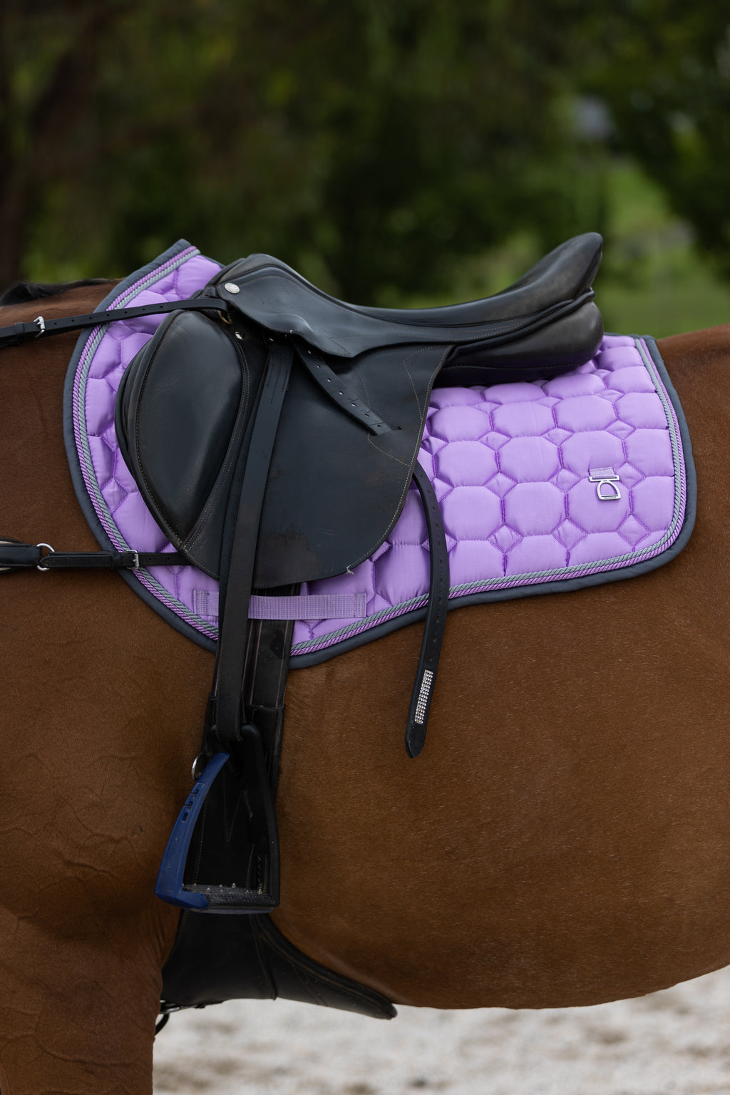 L Jump Cut Saddle Pad
