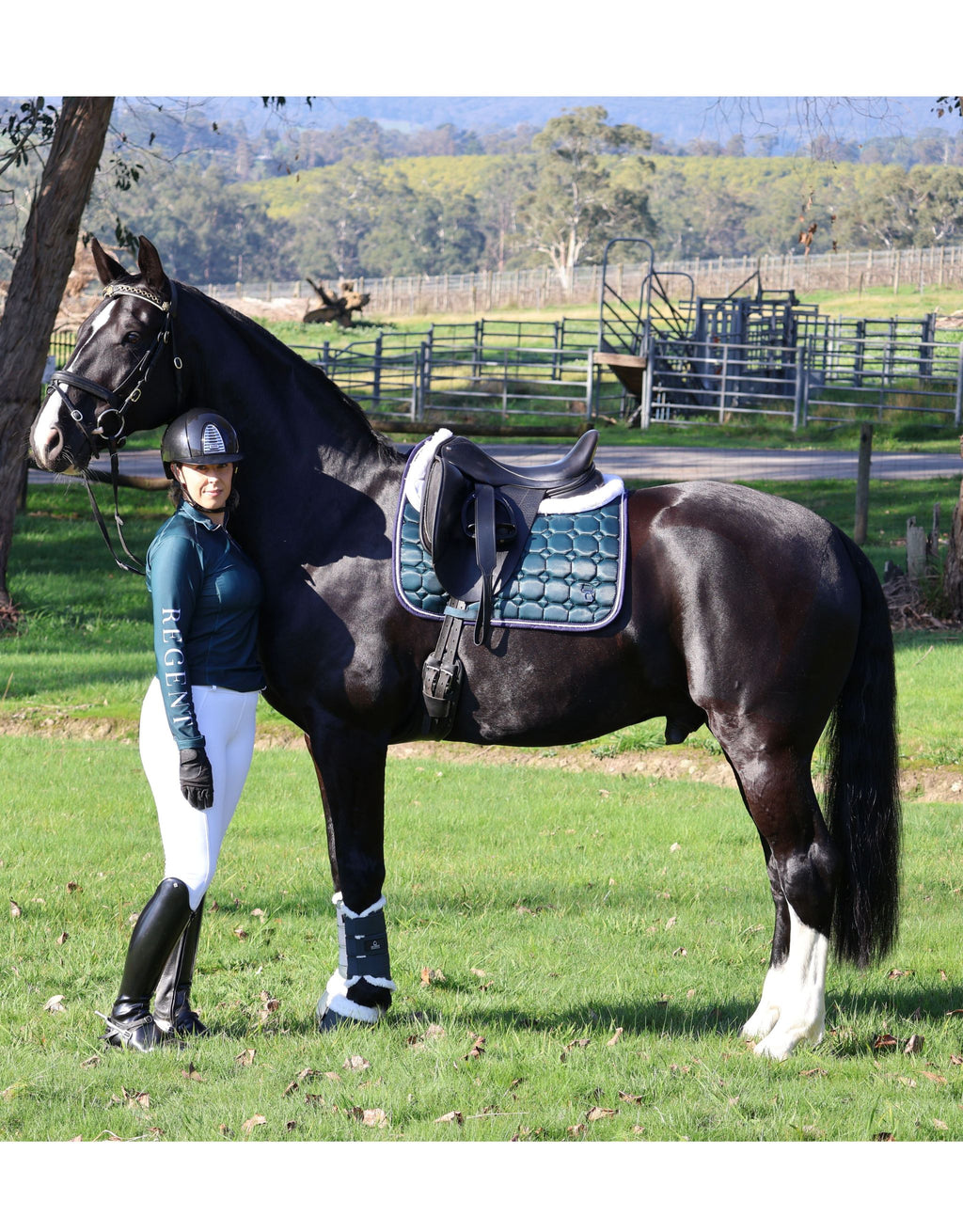 Marquis Dressage Saddle Pad – Hunter