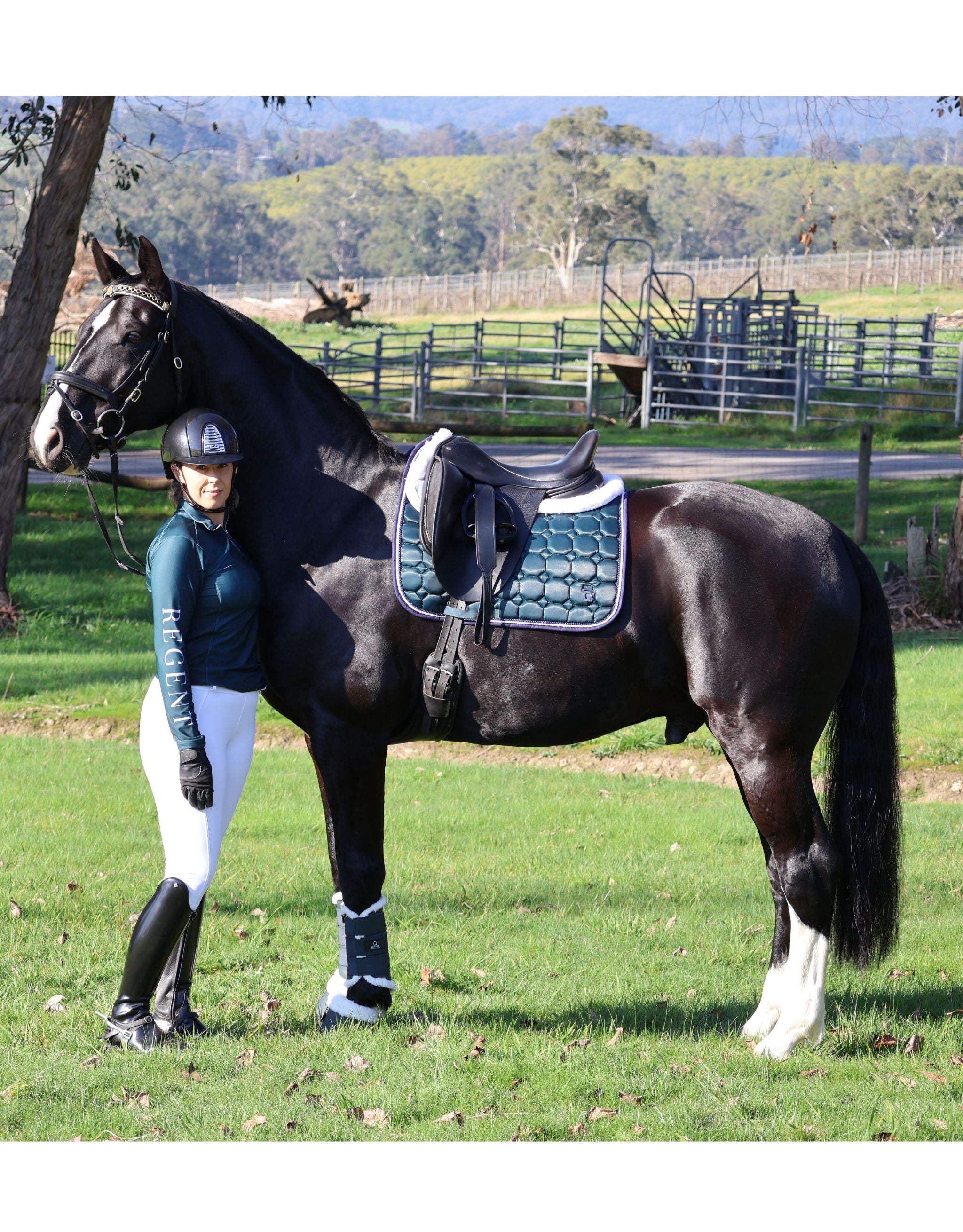 Marquis Dressage Saddle Pad – Hunter