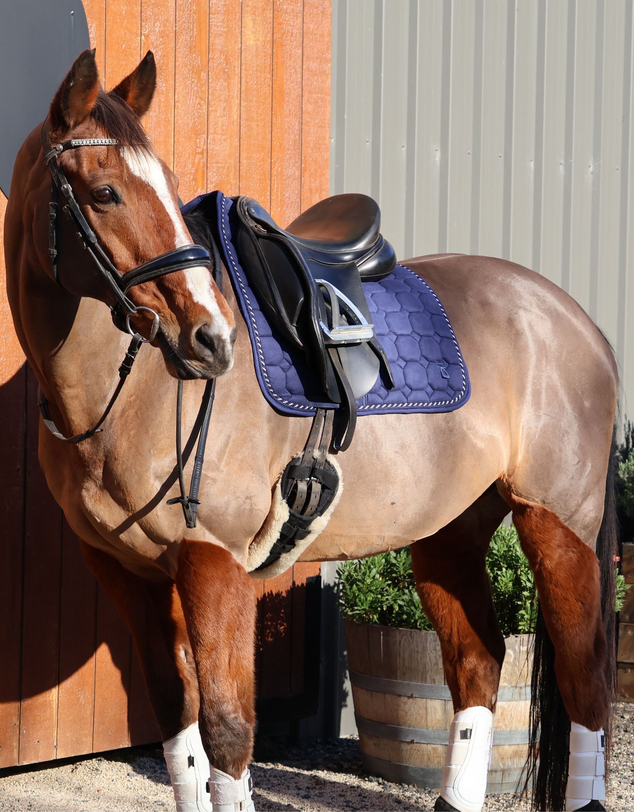 Classic Dressage Saddle Pad - Navy Suede