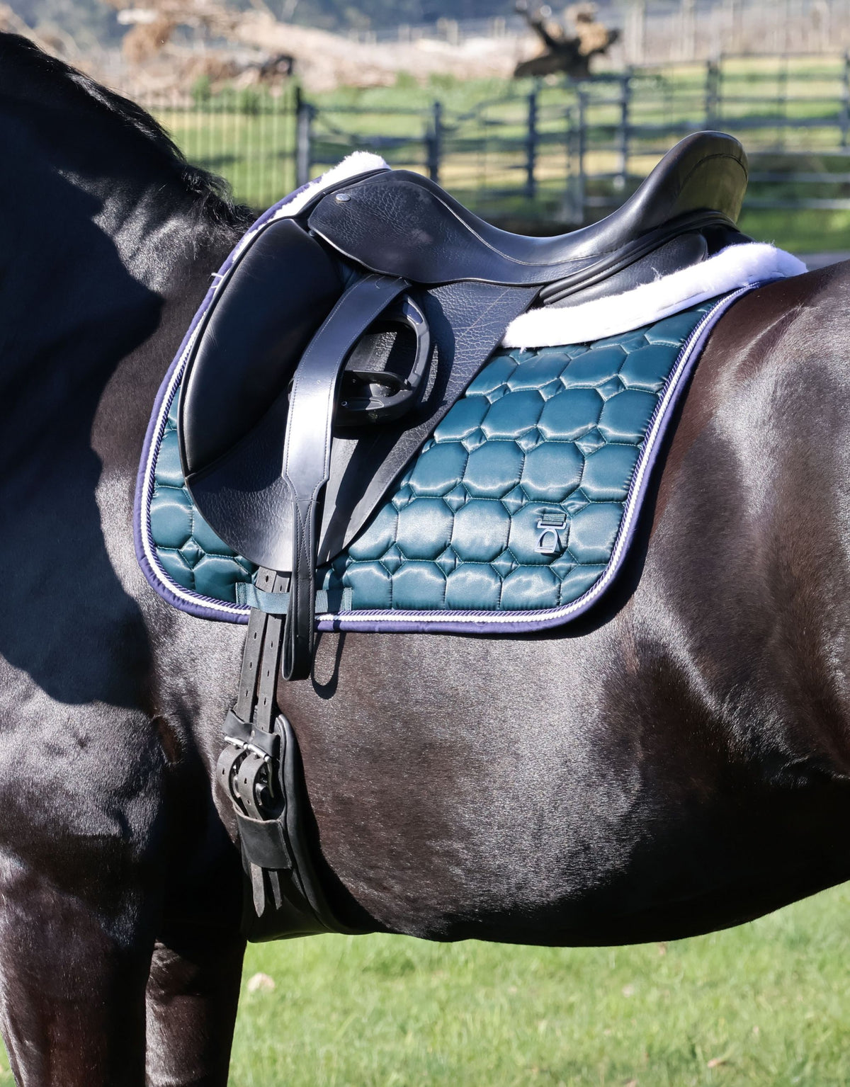 Marquis Dressage Saddle Pad – Hunter