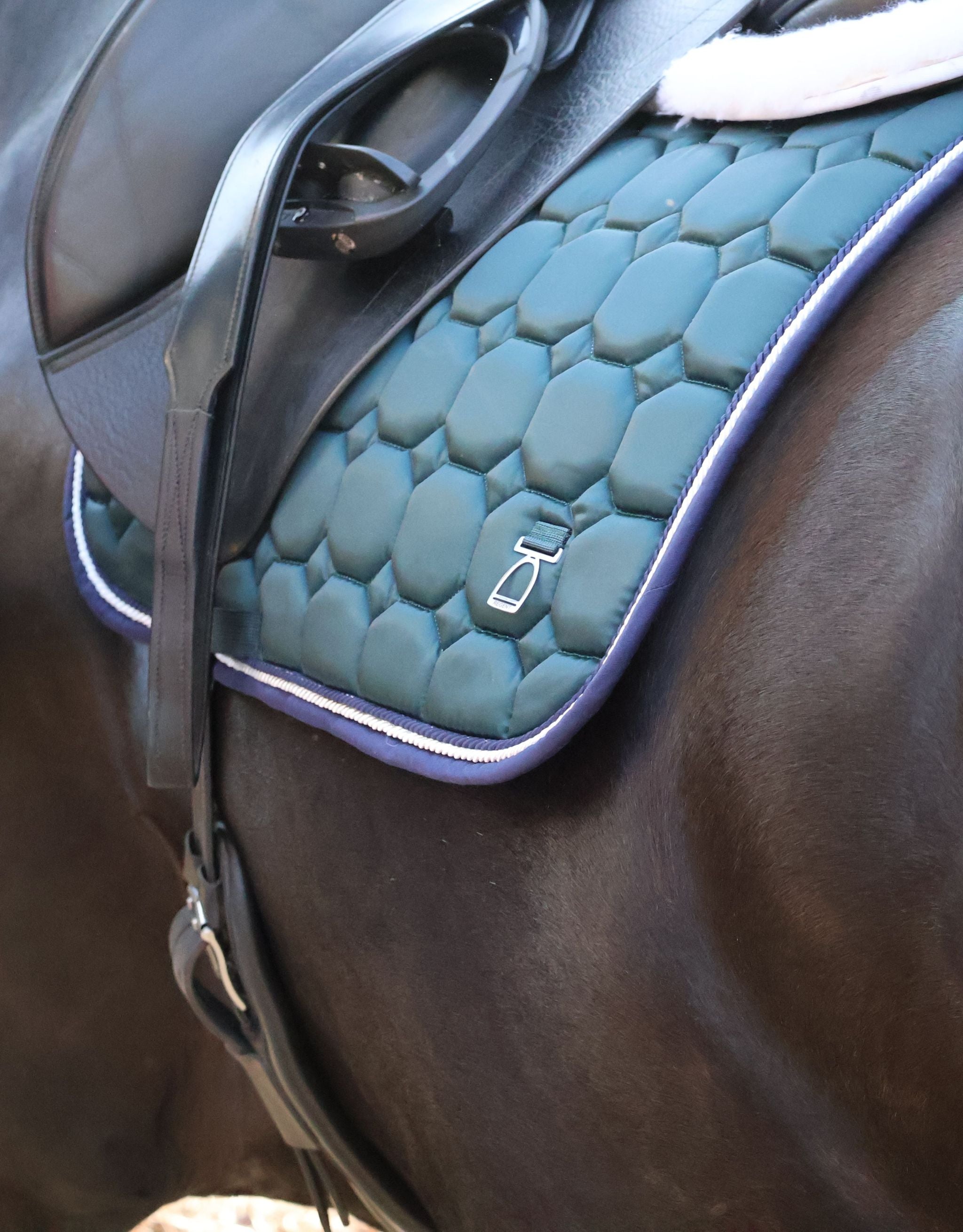 Marquis Dressage Saddle Pad – Hunter