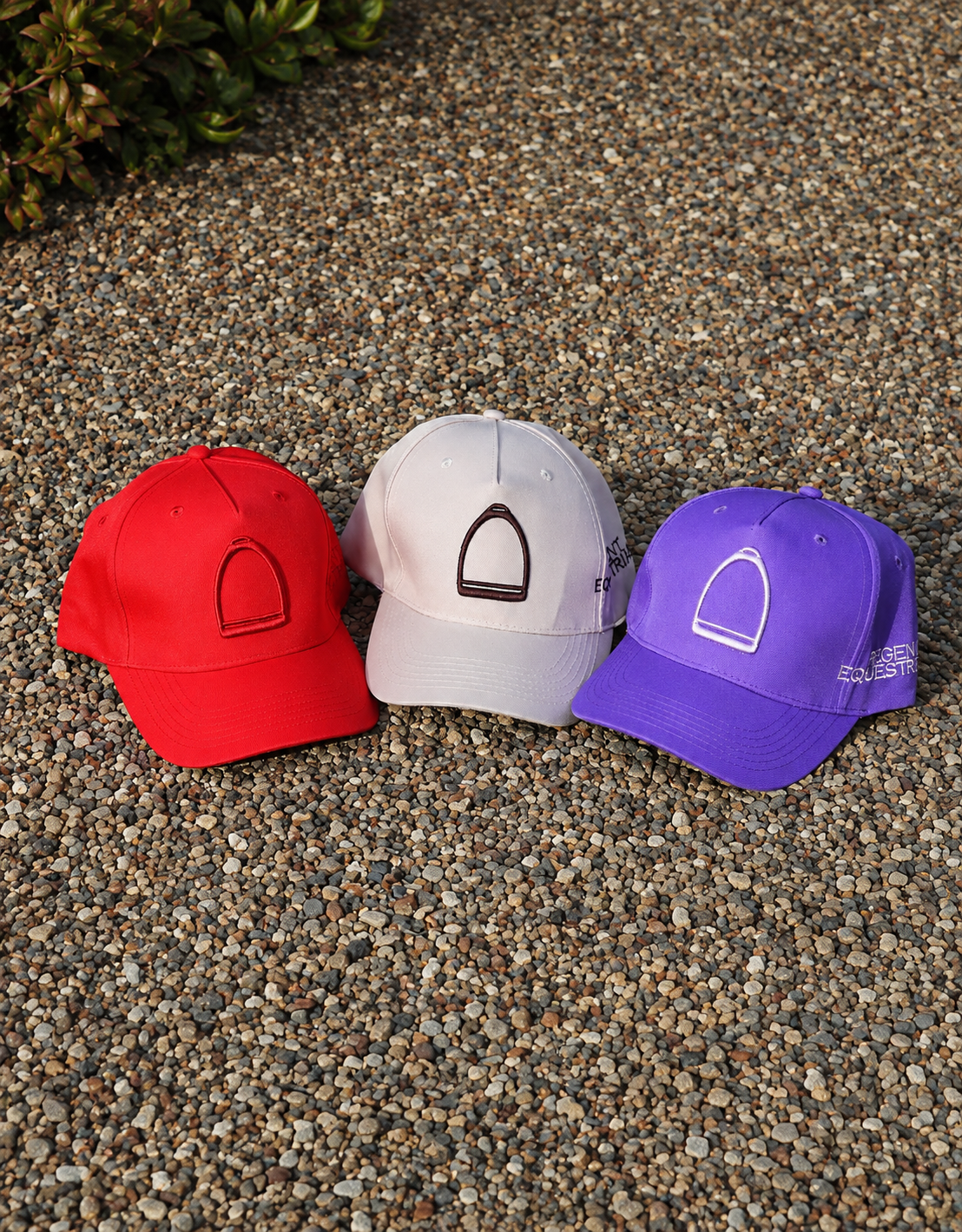 Regent Equestrian Cap - Natural