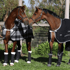 two brown horses standing touching noses with stable coats and travel boots on from Regent Equestrian