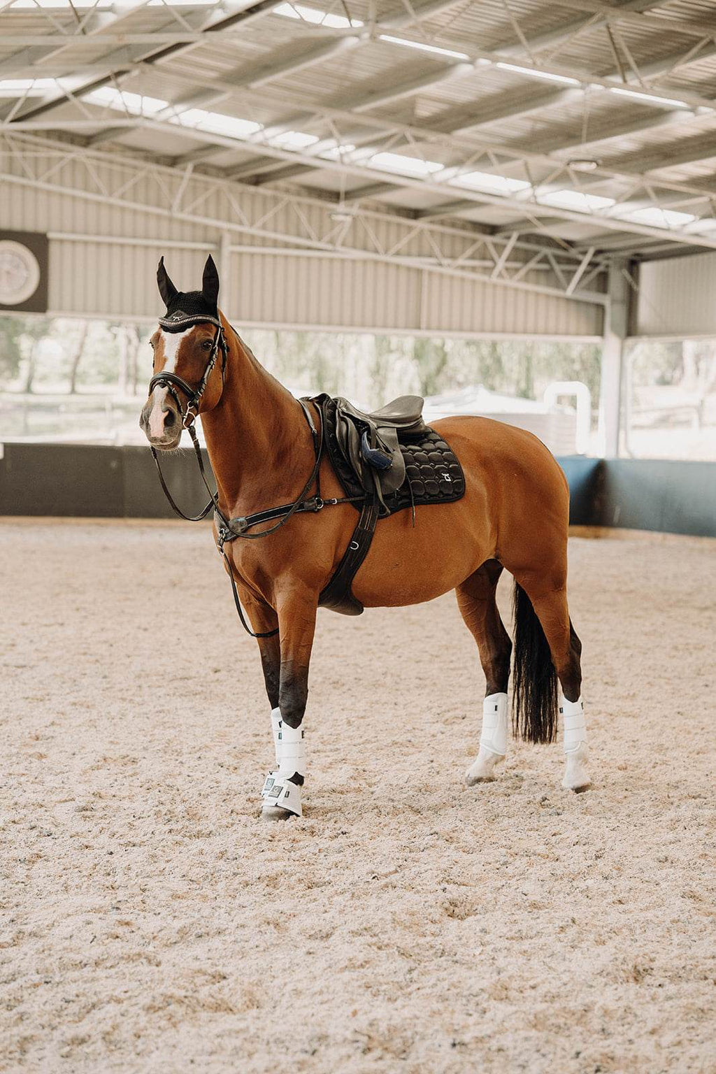 CLASSIC White Tendon Boots - Fleeceless