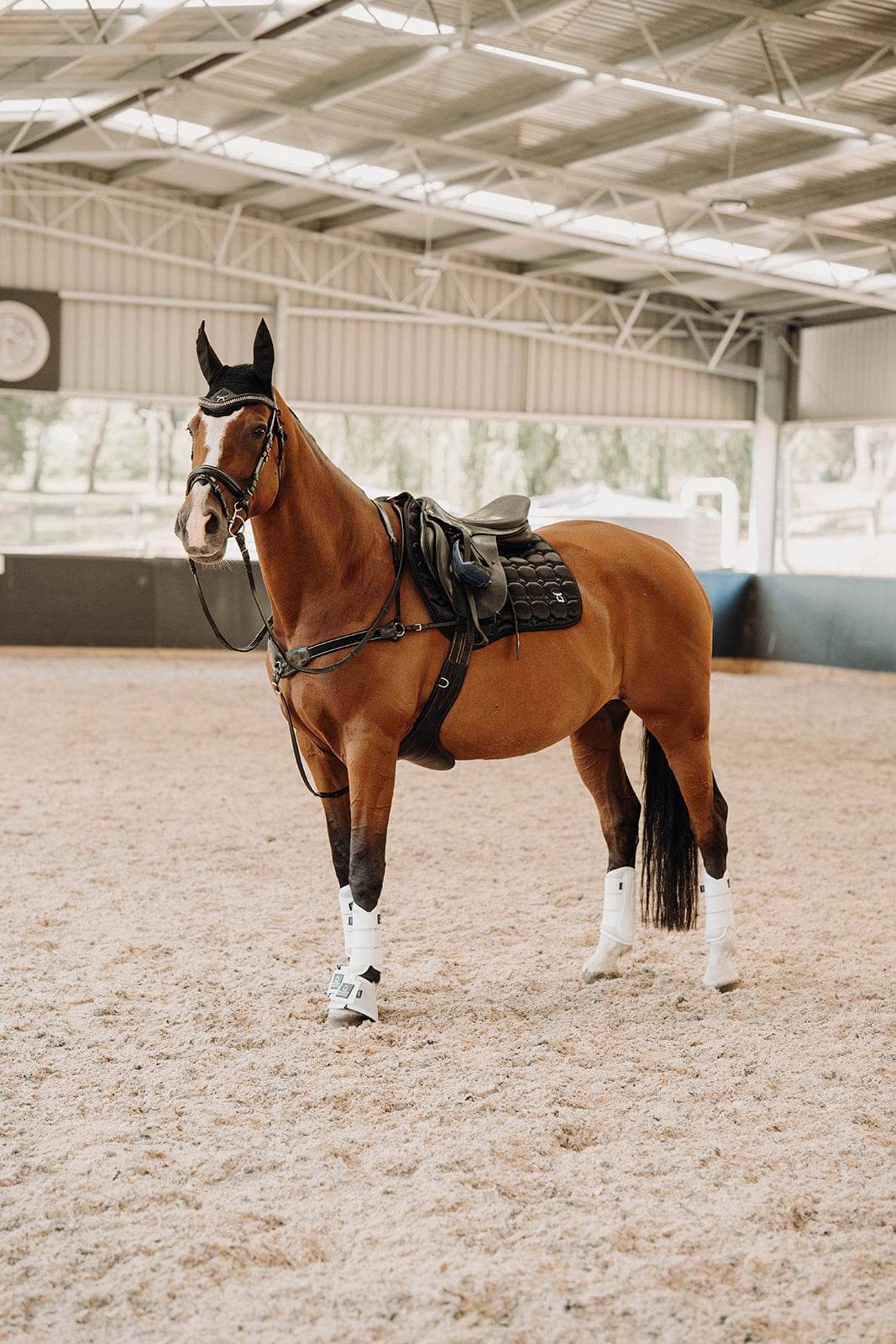 CLASSIC White Tendon Boots - Fleeceless