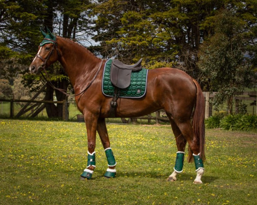 Journey Dressage Saddle Pad