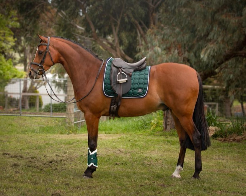 Journey Tendon Boots