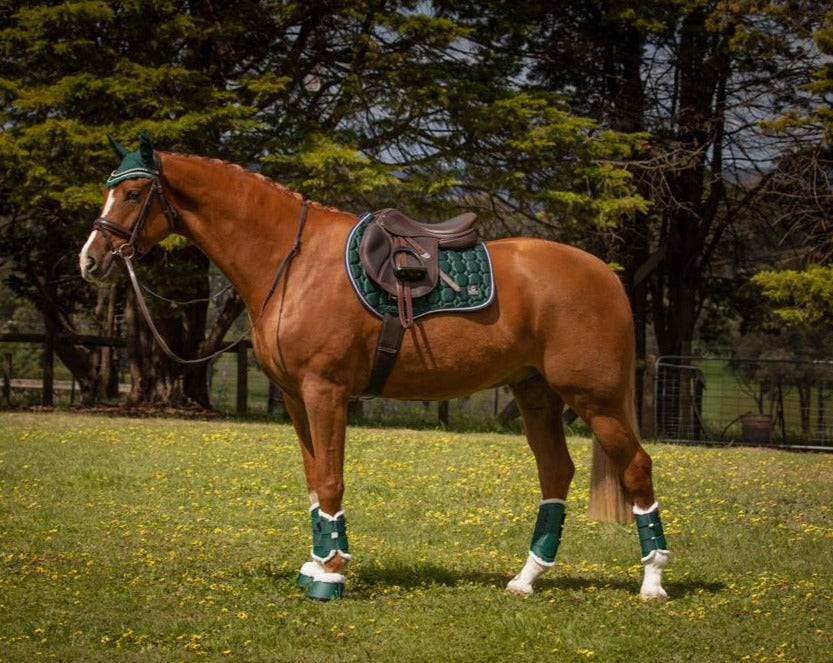 Journey Jump Cut Saddle Pad