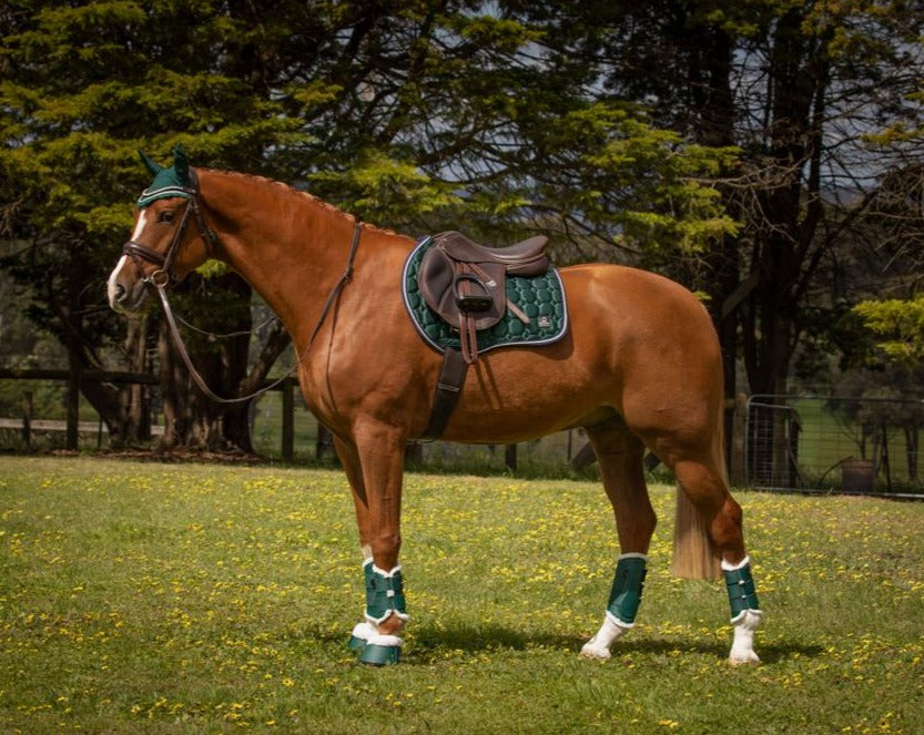 Journey Tendon Boots