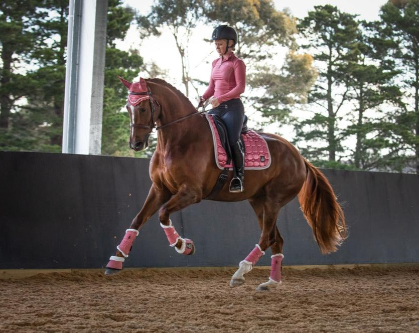 Journey Tendon Boots