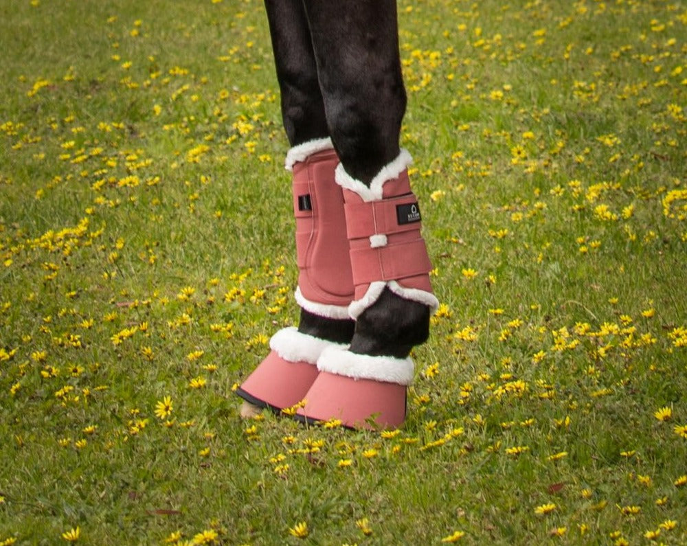 Journey Tendon Boots