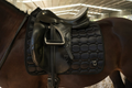 Midnight Dressage saddle pad
