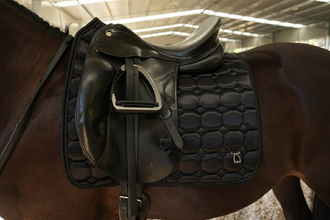 Midnight Dressage saddle pad