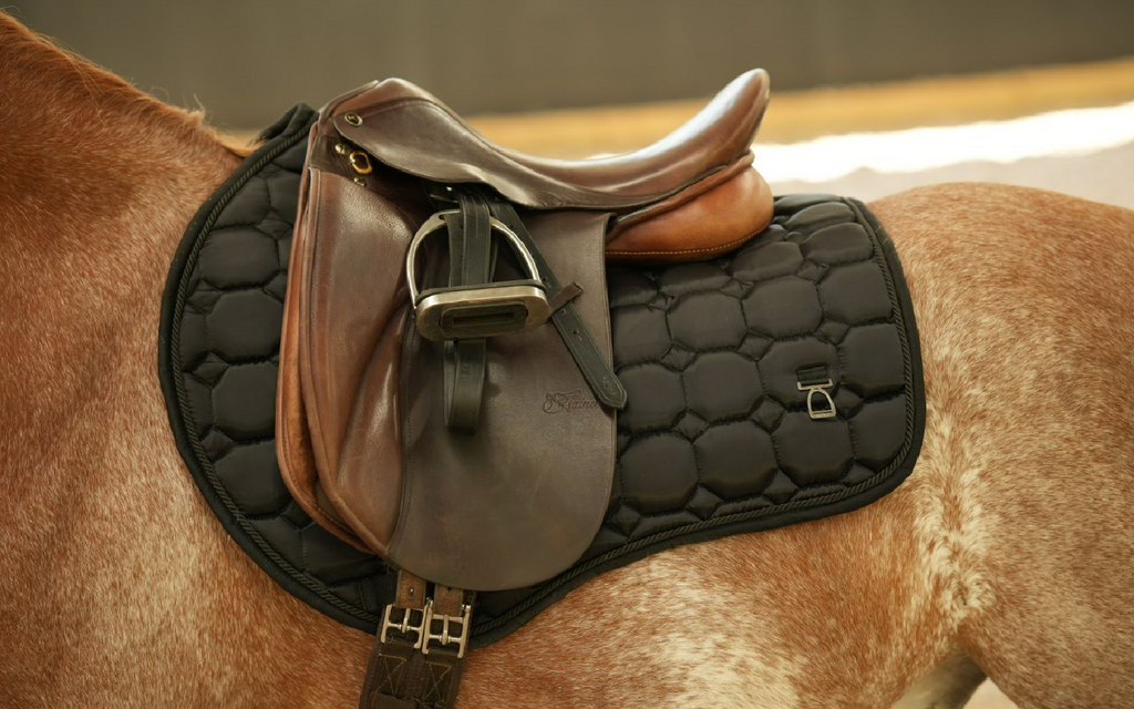 Midnight jump saddle pad