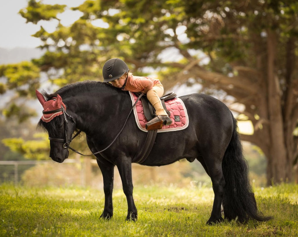 Journey Dressage Saddle Pad