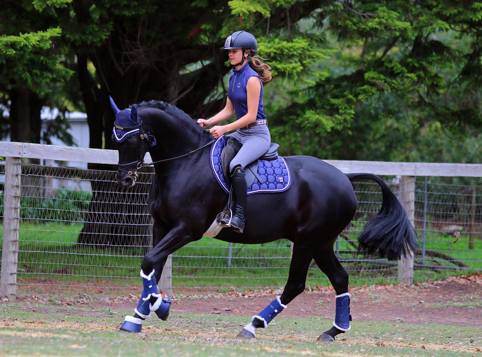 Kindred Jump Cut Saddle Pad