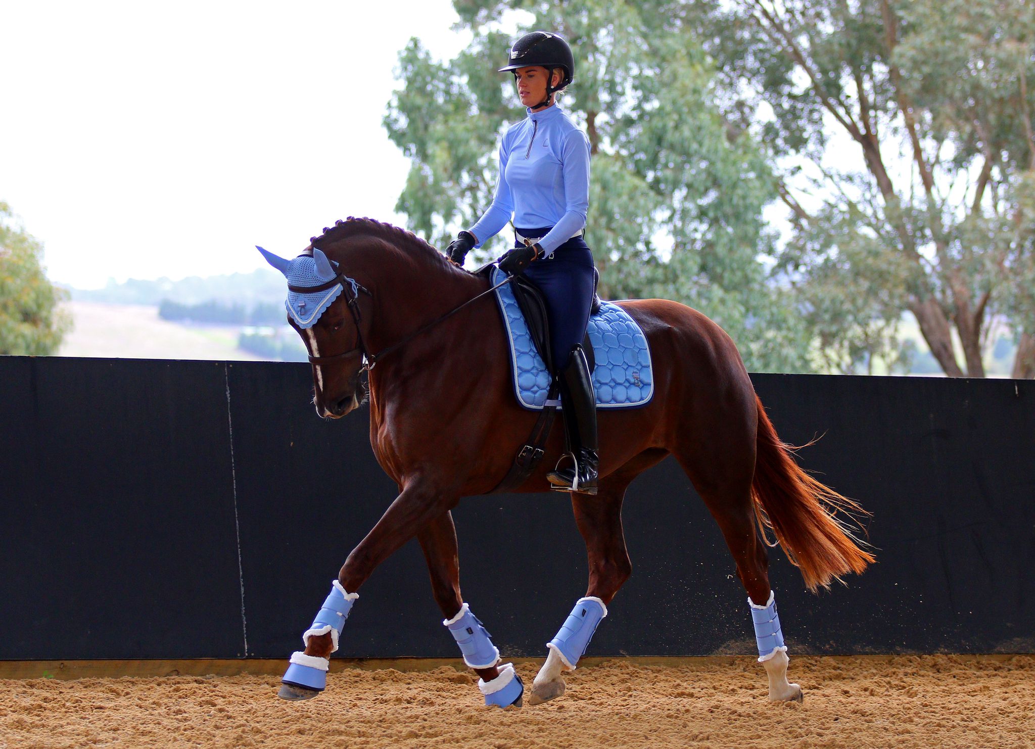 Kindness Dressage Saddle Pad
