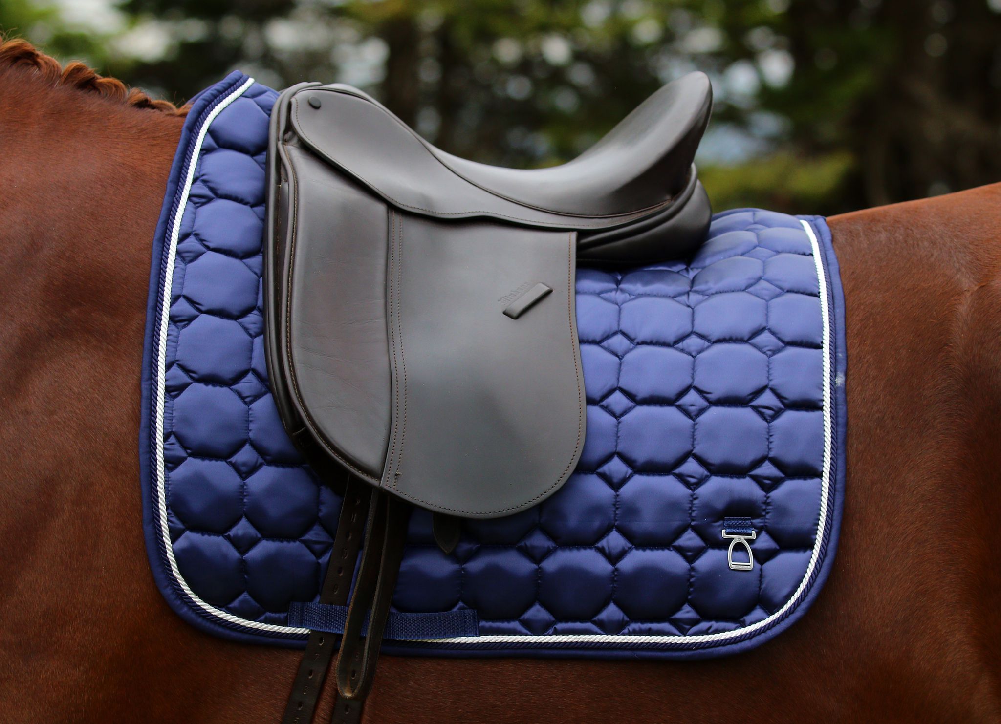Kindred Dressage Saddle Pad