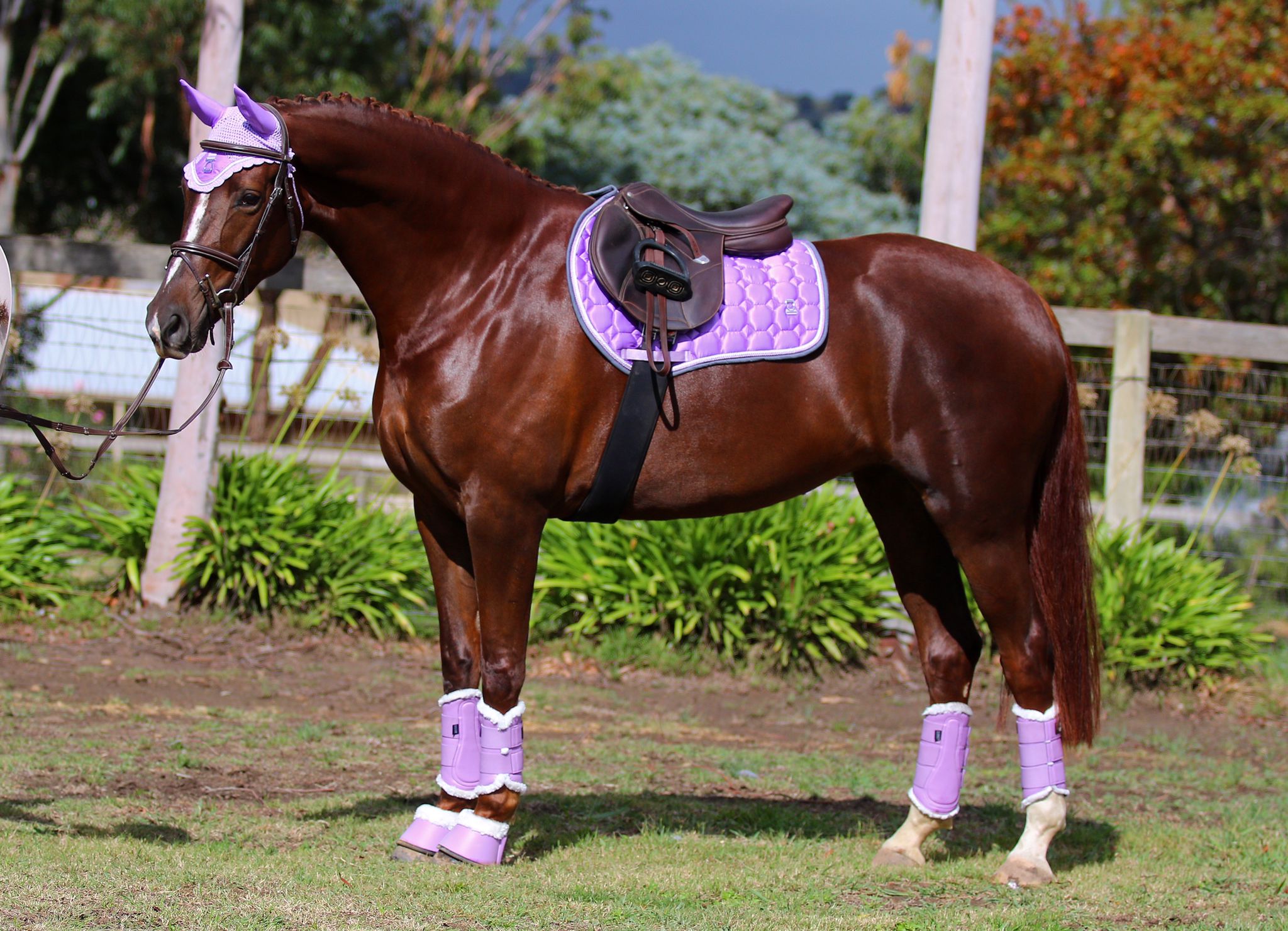 Kindness Tendon Boots