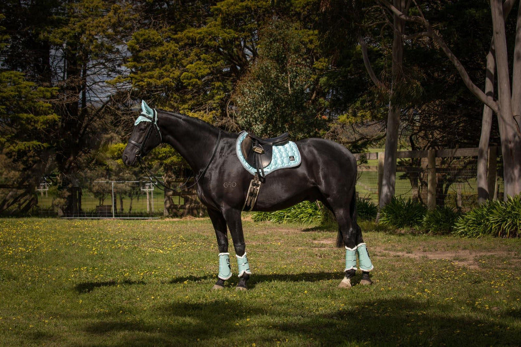 Journey Jump Cut Saddle Pad