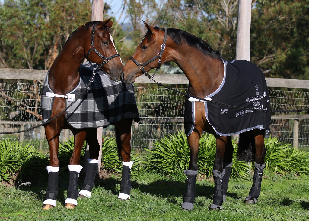 Set of 4 Travel Boots - Black/Black