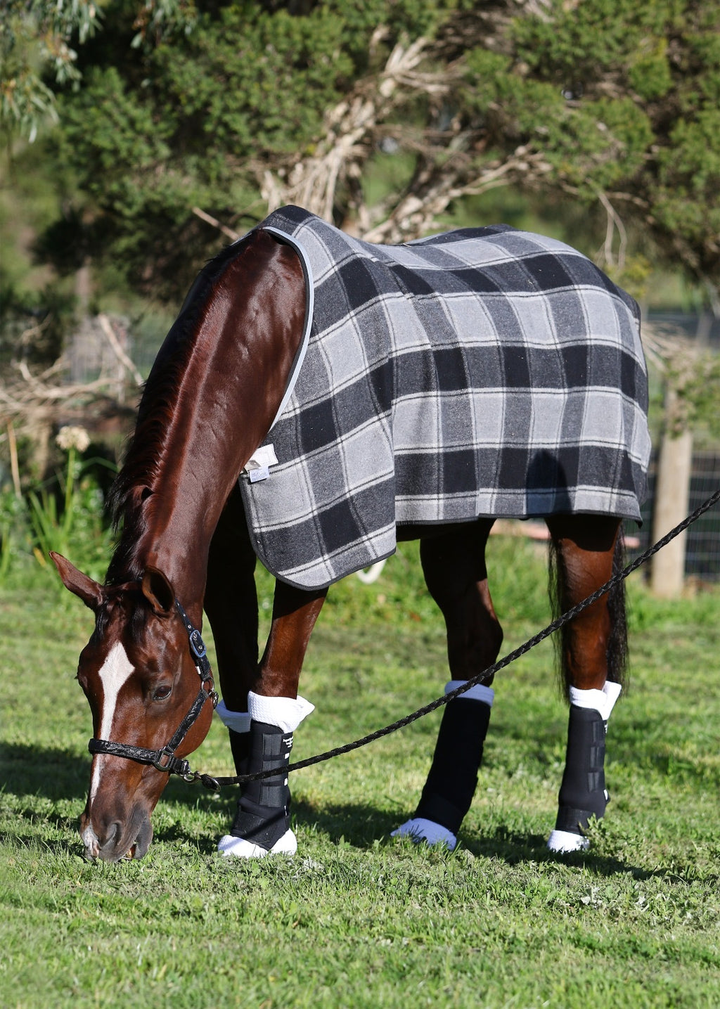 Set of 4 Travel Boots - Black/Off white