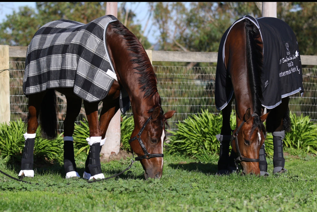 Set of 4 Travel Boots - Black/Off white