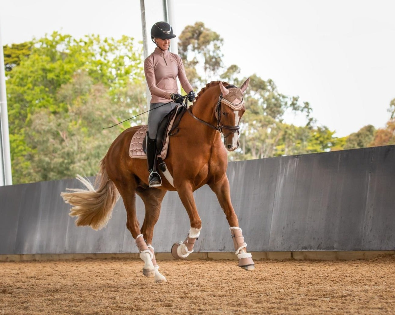 Journey Tendon Boots