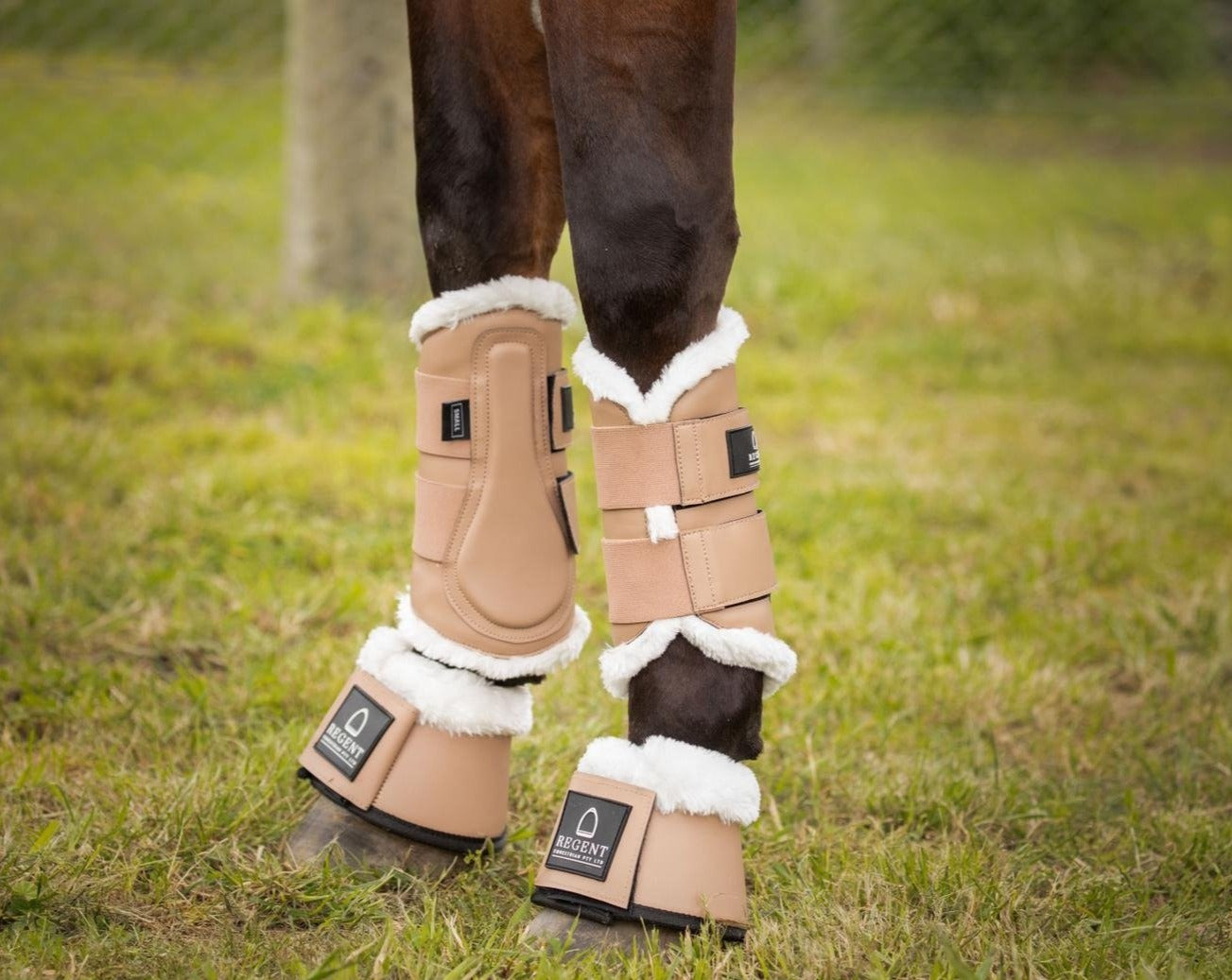 Journey Tendon Boots