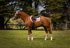 Journey Jump Cut Saddle Pad