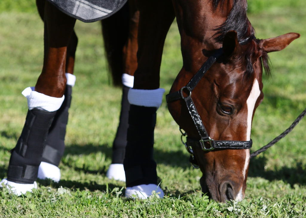 Set of 4 Travel Boots - Black/Off white