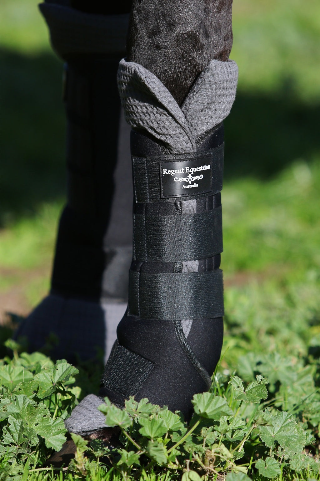 Set of 4 Travel Boots - Black/Black