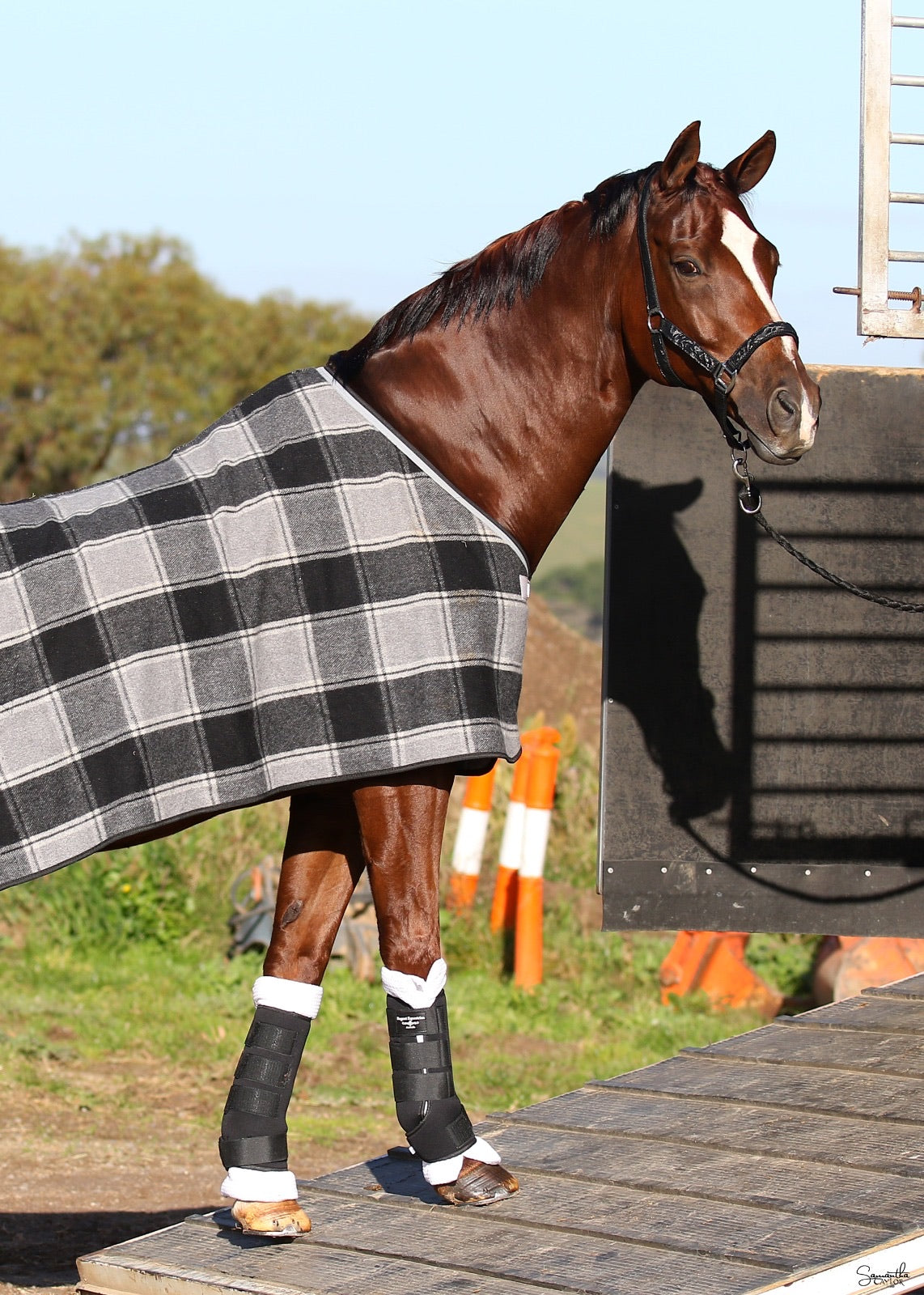 Set of 4 Travel Boots - Black/Off white